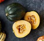 Is Squash a Real Word?