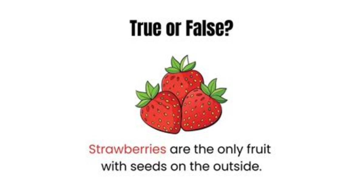 Is Strawberry a False Fruit?