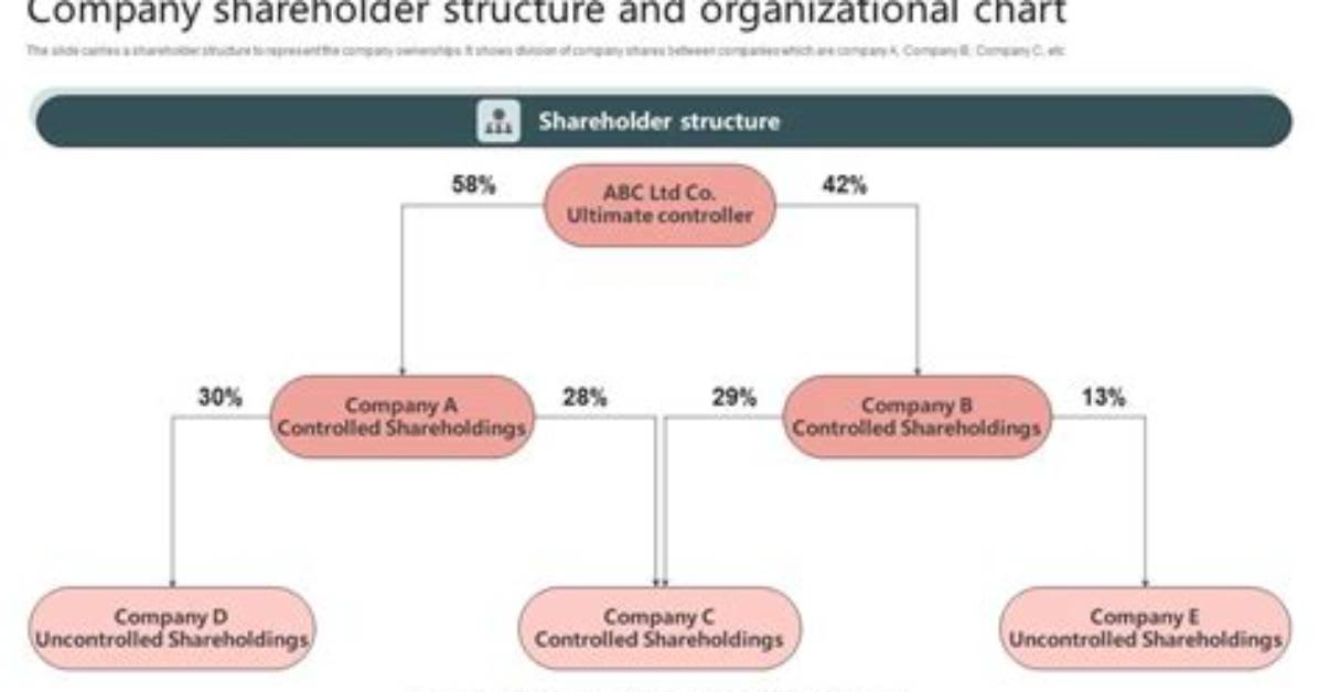Is the Owner Also a Shareholder?