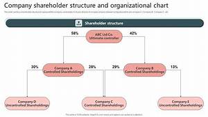 Is the Owner Also a Shareholder?
