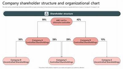 Is the Owner Also a Shareholder?