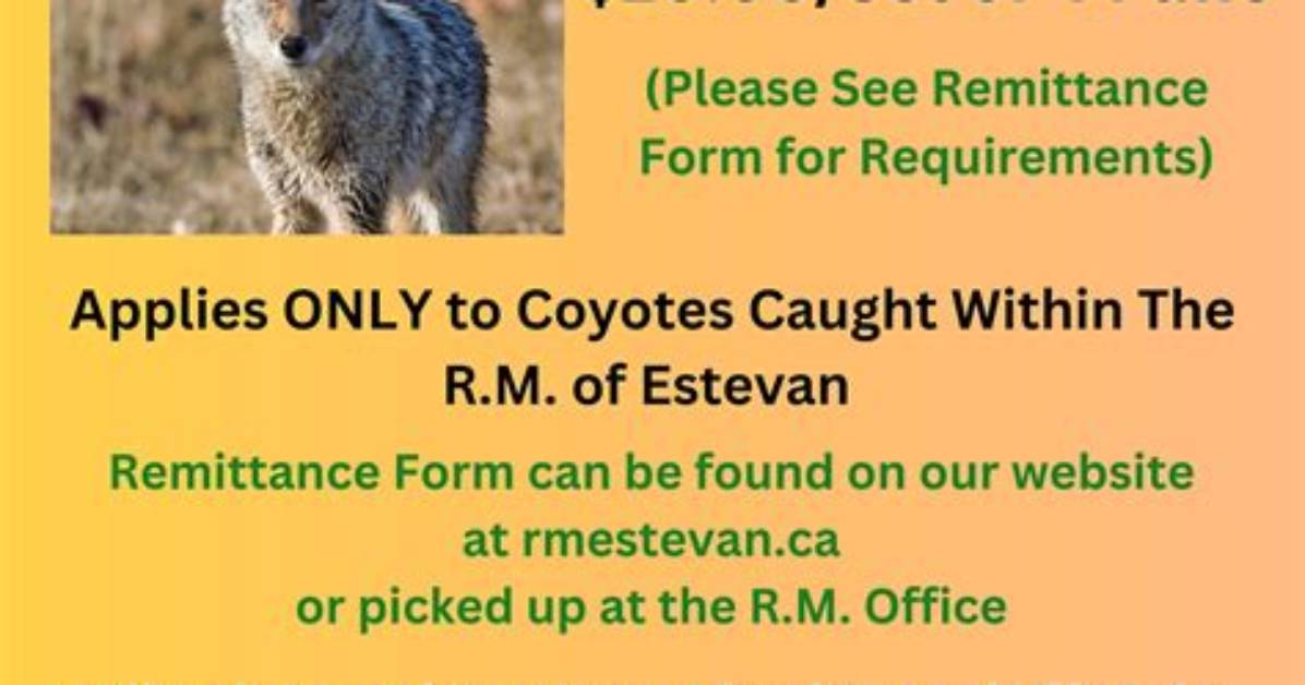 Is There a Bounty on Coyotes?