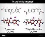 Is Thyroxine T4 or T3?