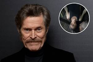 Is William Defoe Gay? Exploring the Life, Career, and Personal Journey of the Renowned Actor
