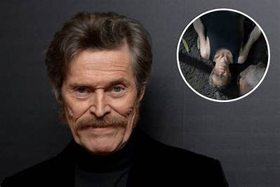 Is William Defoe Gay? Exploring the Life, Career, and Personal Journey of the Renowned Actor