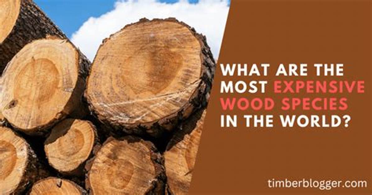 Is Wood Still Expensive 2022?