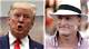 Is Woody Harrelson a Trump Supporter? Unpacking the Truth Behind the Headlines