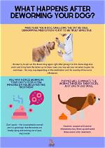 Is Worming a Dog Necessary?