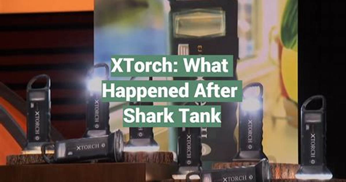 Is Xtorch Still in Business? a Comprehensive Analysis of Xtorch's Current Status