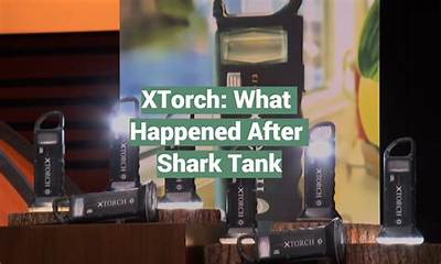 Is Xtorch Still in Business? a Comprehensive Analysis of Xtorch's Current Status