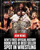 It's an Aew Love Story — Inside Jungle Boy and Anna Jay's New Relationship