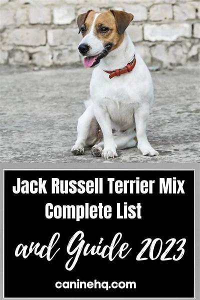 Jack Terrier Mix: the Ultimate Guide to This Unique Hybrid Breed