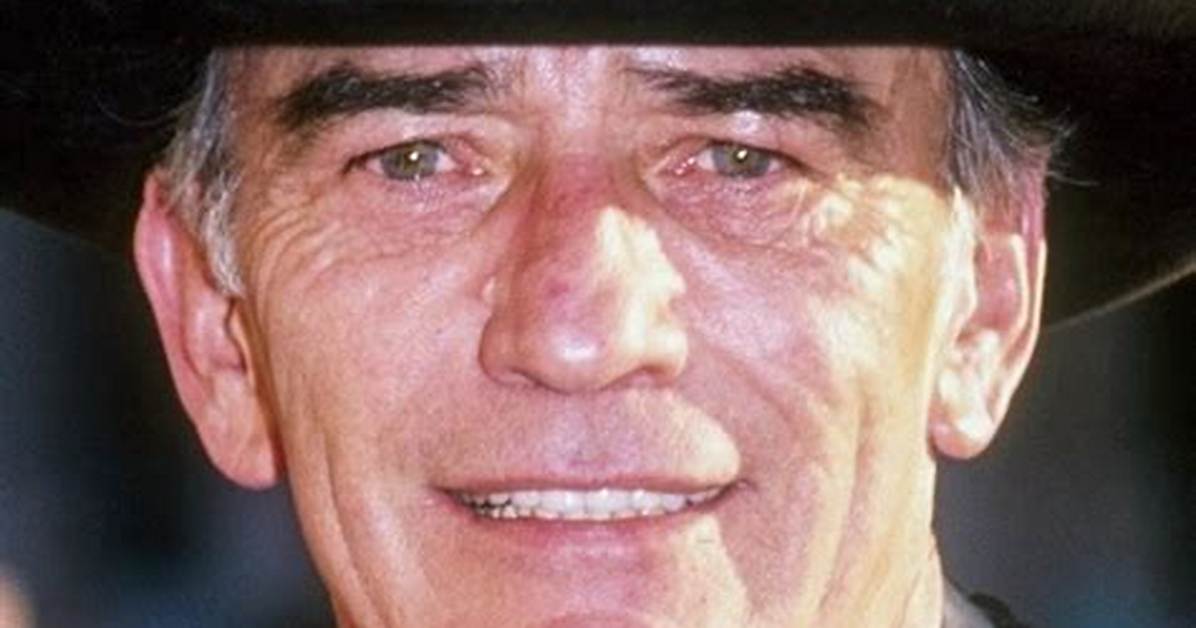 James Drury Net