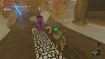 Jazzdash | Zelda: Breath of the Wild Walkthrough