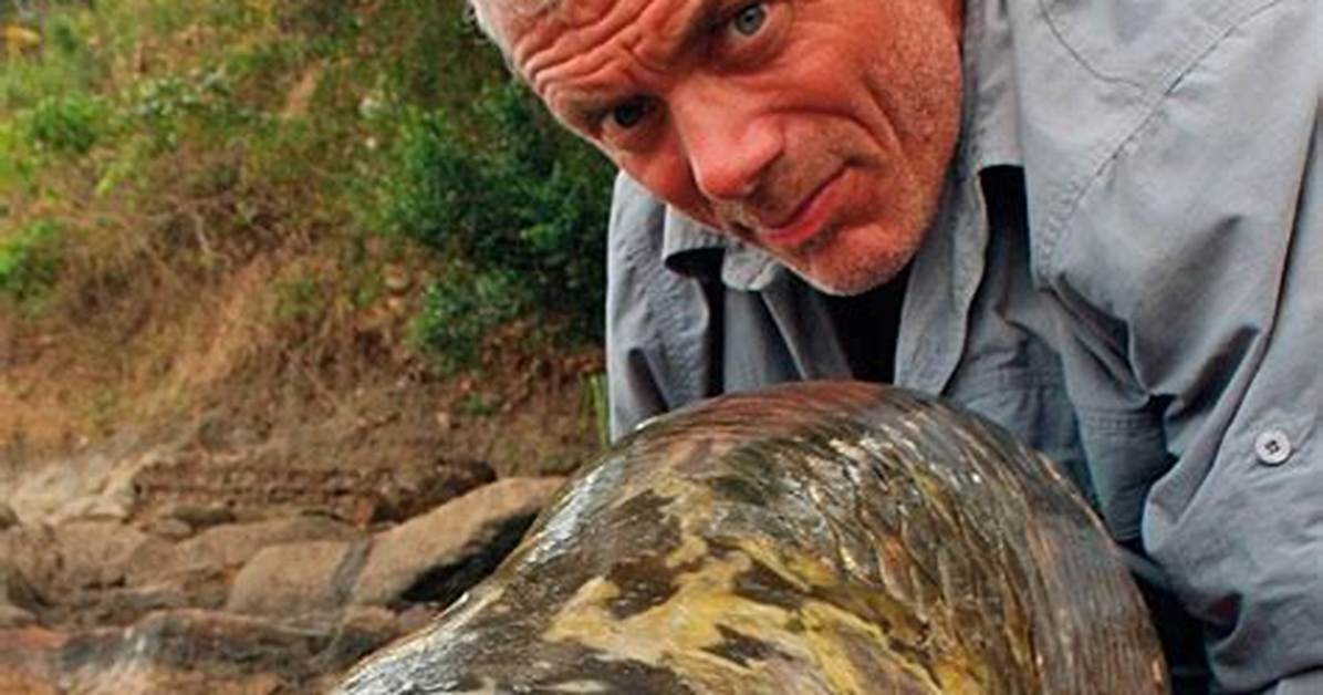 Jeremy Wade's Perspective on Parenthood