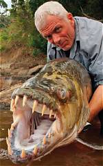 Jeremy Wade's Perspective on Parenthood