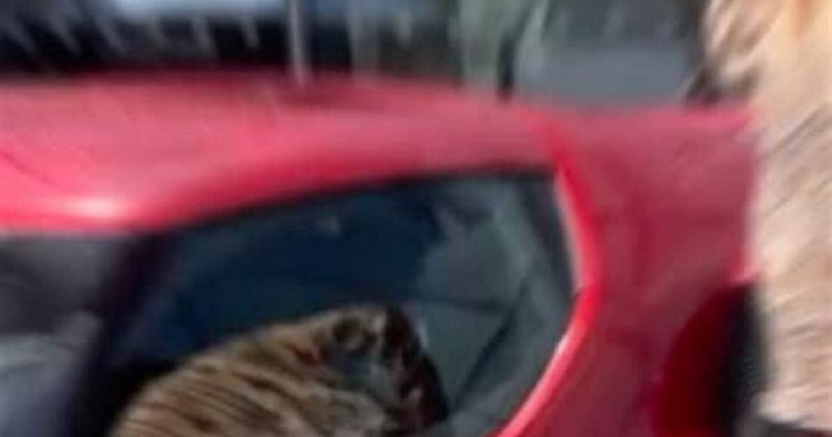 Jesus Car%C3%Bas Net Worth 400. Jpg
