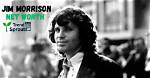 Jim Morrison's Net Worth