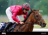 Jockey Saffie Osborne Age – How Old Is Jamie Osborne Daughter?