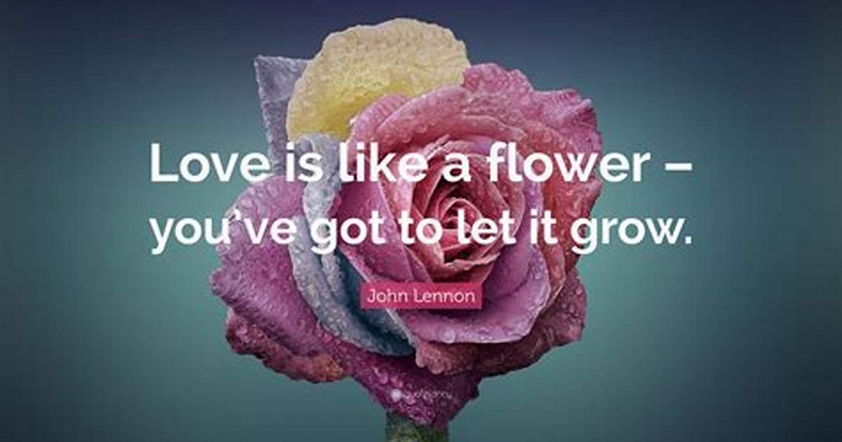 John Lennon Love Is the Flower You Ve Got to Let