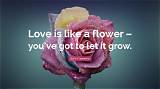 John Lennon: 'Love Is the Flower You've Got to Let Grow.'