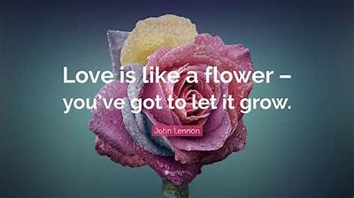 John Lennon: 'Love Is the Flower You've Got to Let Grow.'