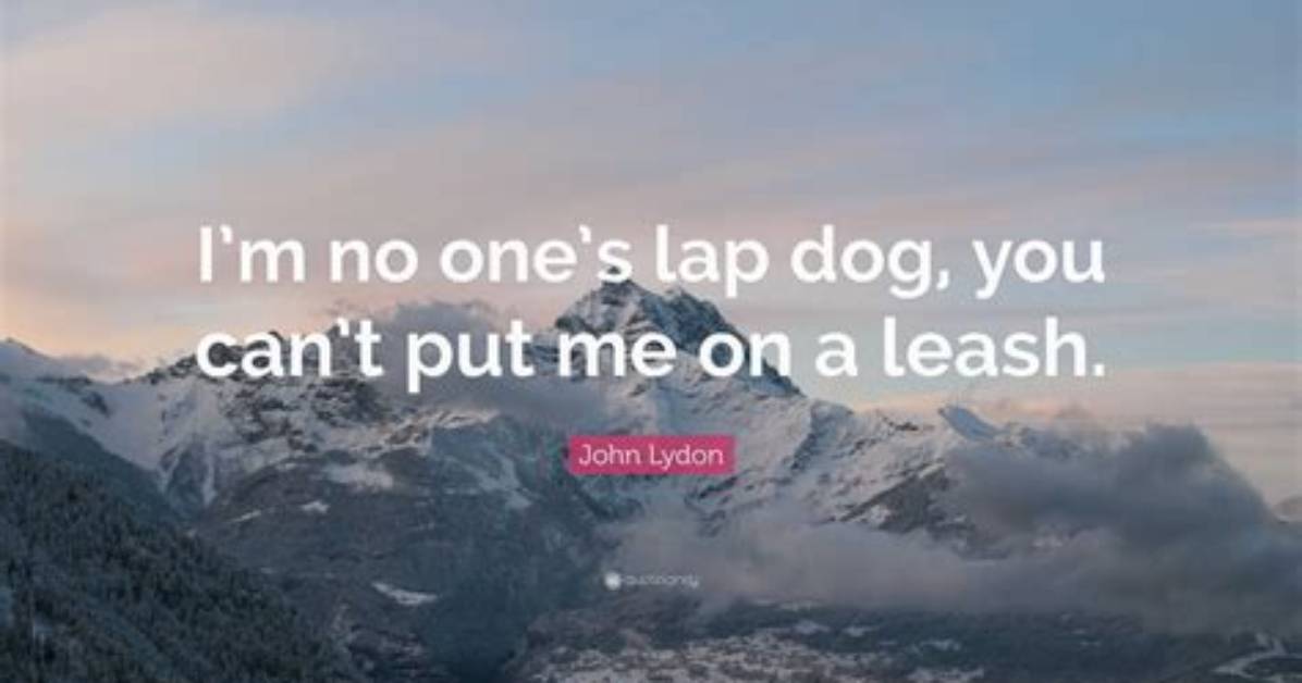 John Lydon I M No One S Lap Dog You Can T Put Me on A