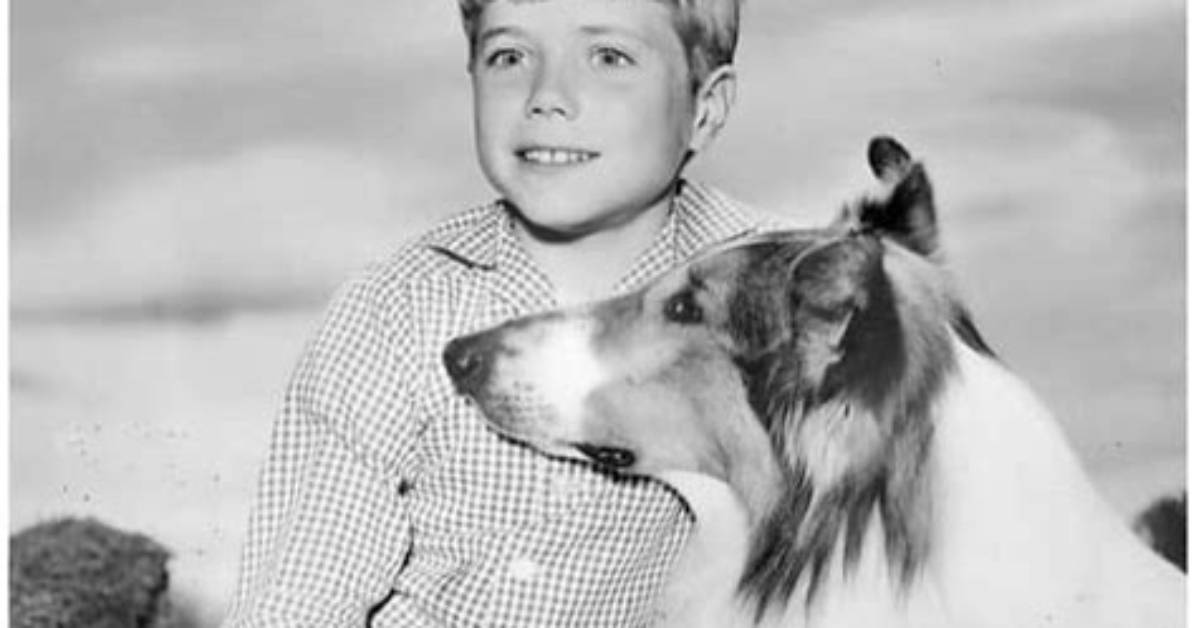 Jon Provost Net
