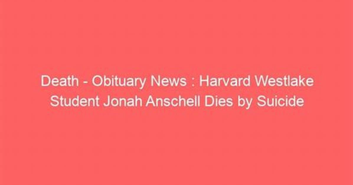 Jonah Anschell Wife Was Harvard Westlake Student Married Meet His