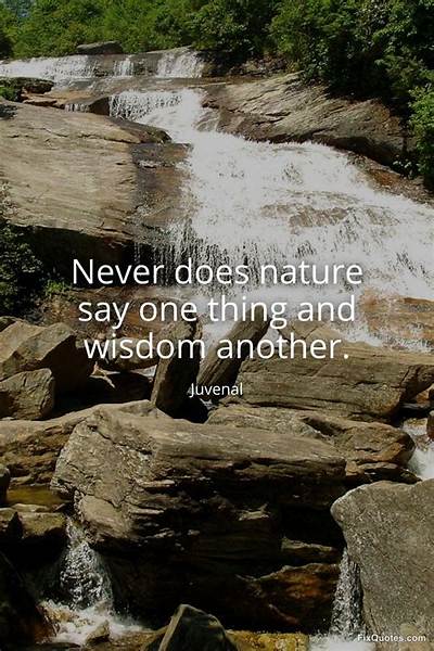 Juvenal: 'Never Does Nature Say One Thing and Wisdom Another.'
