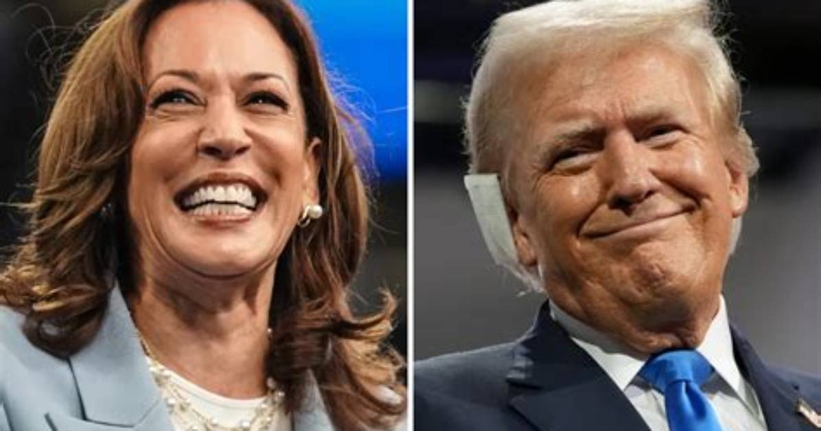 Kamala Harris Leads Donald Trump in Poll: a Comprehensive Analysis