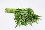 Kang Kong: the Nutritional Powerhouse of Southeast Asia