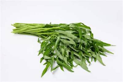 Kang Kong: the Nutritional Powerhouse of Southeast Asia