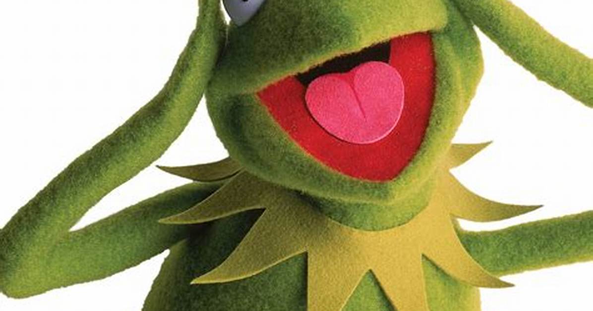 Kermit the Frog Net