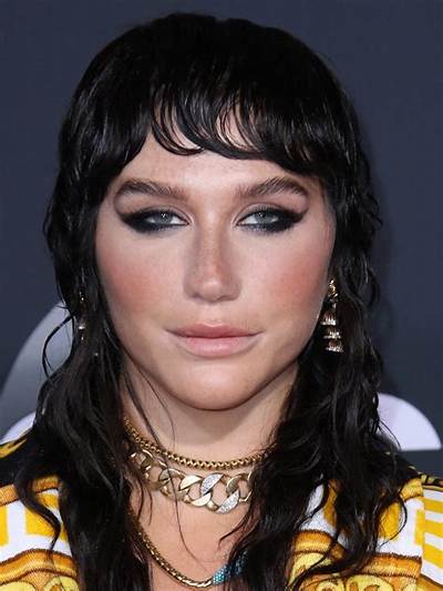 Kesha Rose Sebert: the Singer's Journey & More!