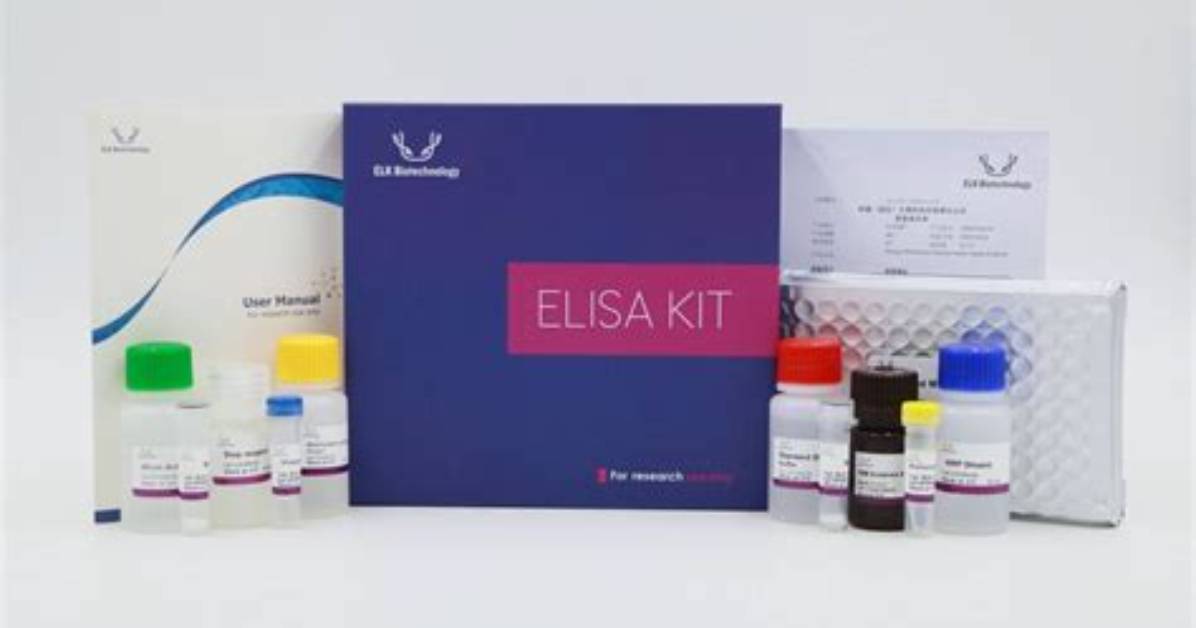 Kit