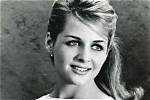 Kristin Nelson Net Worth