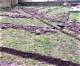 Land Drainage Methods | Homesteady