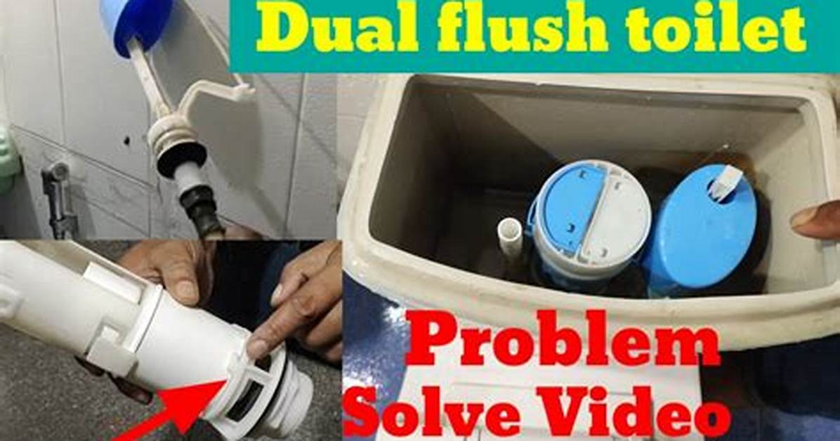 Leakage Problem with the Gemini Dual Flush Toilet