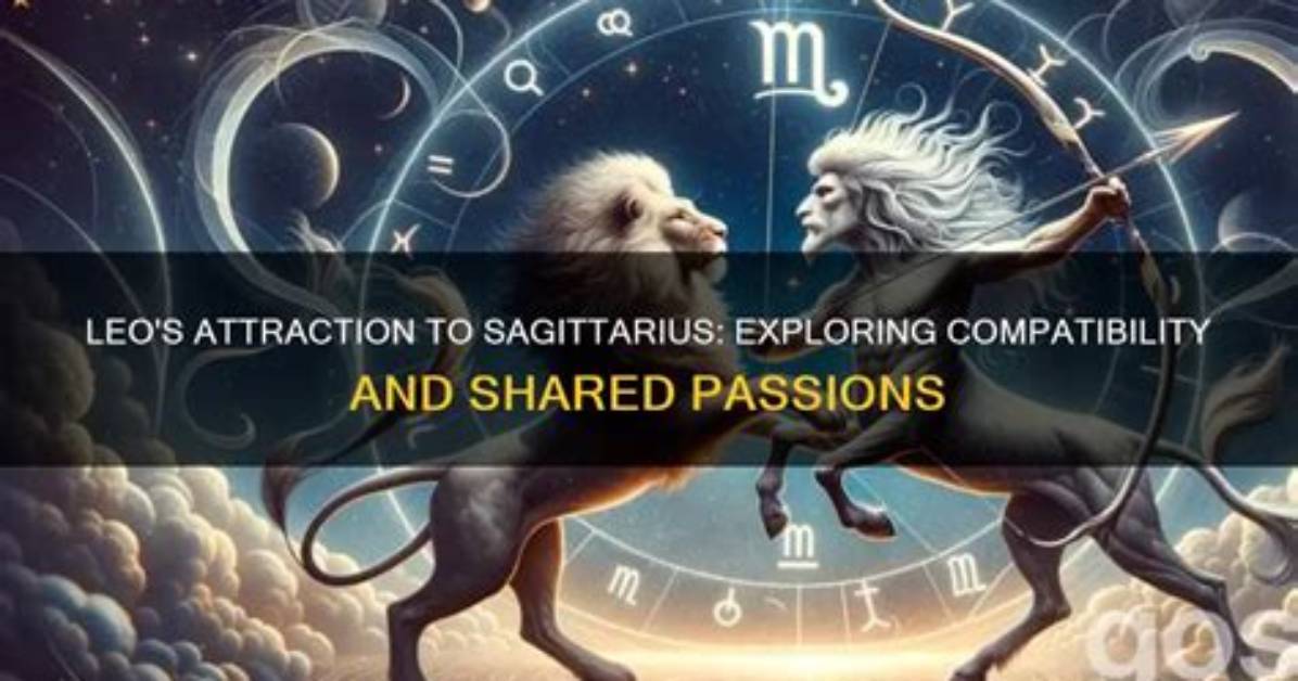 Leo and Sagittarius Compatibility: Exploring the Power of Fire Signs