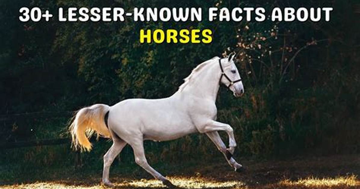 Lesser Known Facts About