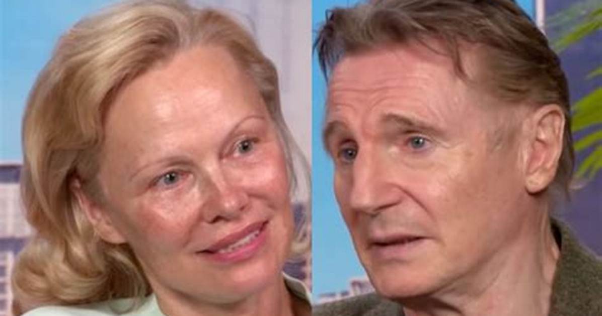 Liam Neeson's Romantic Journey: Who Is His Girlfriend?