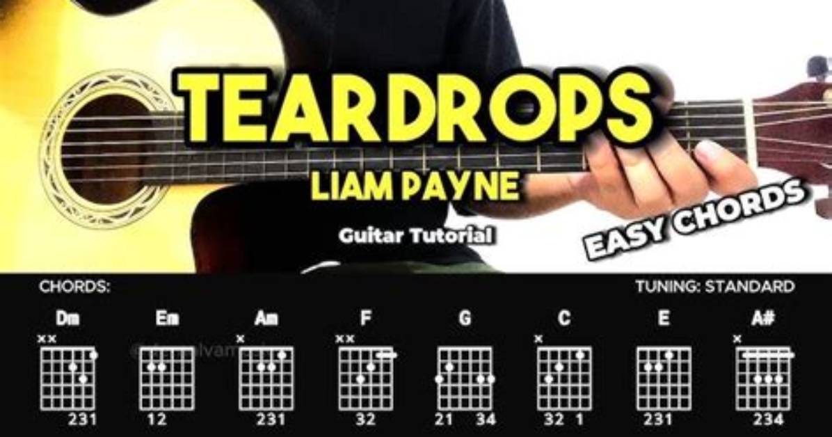 Liam Payne - Teardrops Chords & Lyrics | Easy Guitar Tabs