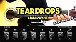 Liam Payne - Teardrops Chords & Lyrics | Easy Guitar Tabs