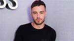 Liam Payne: Was He Really an Idiot? Debunking the Claims