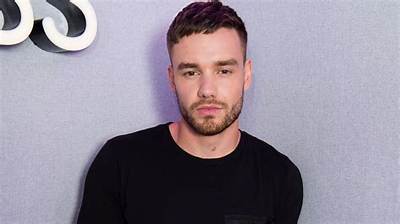 Liam Payne: Was He Really an Idiot? Debunking the Claims