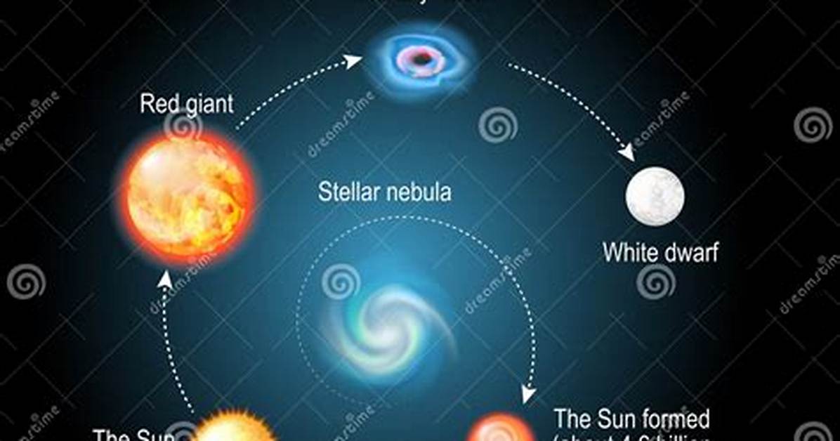 Life Cycle of Proxima