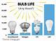 Life Expectancy of Light Bulbs