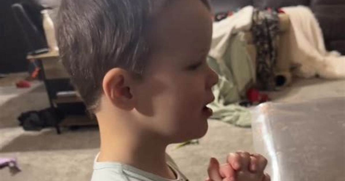 Little Boy Loves Pretending He S a Grandpa and the Videos Will Make Your