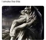 Lone Wolf Meme: Understanding Its Impact and Cultural Significance